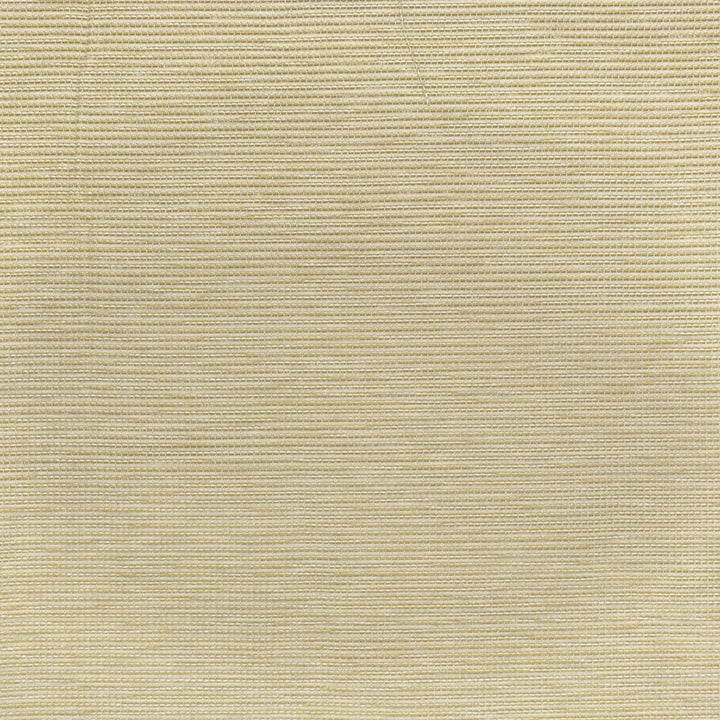 S3898 Sand by Greenhouse Designer Fabric S52: Oyster 95% Polyester, 5% Viscose China 50,000 double rubs </p><p>Repeat: None 55" - Swanky Fabrics -