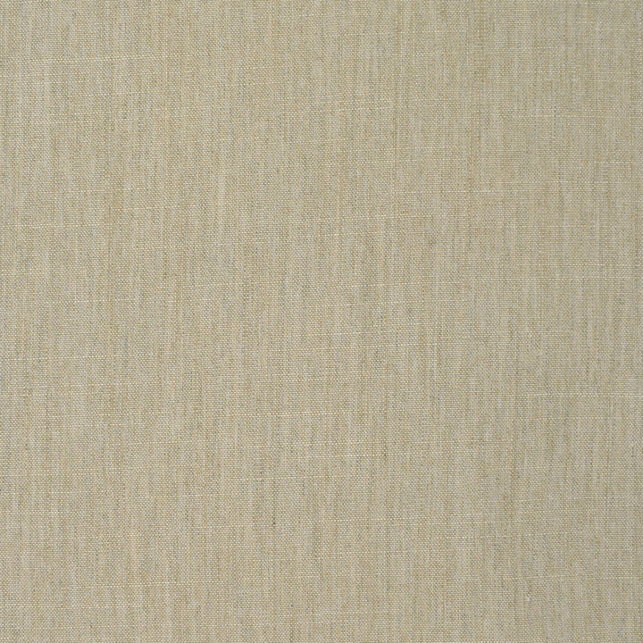 S3905 Natural by Greenhouse Designer Fabric 100% Polyester India 30,000 </p><p>Repeat: None 54" - Swanky Fabrics -