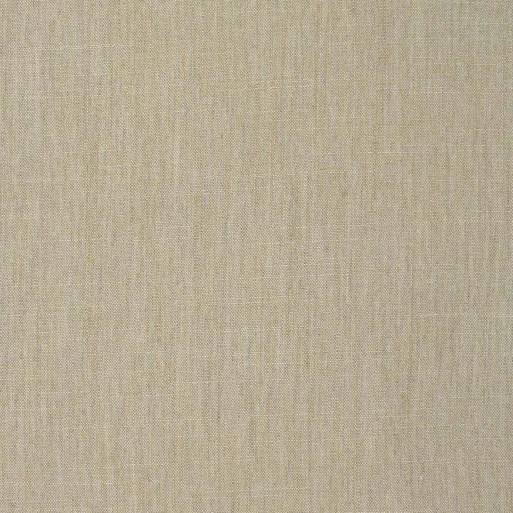 S3905 Natural by Greenhouse Designer Fabric 100% Polyester India 30,000 double rubs </p><p>Repeat: None 54" - Swanky Fabrics -