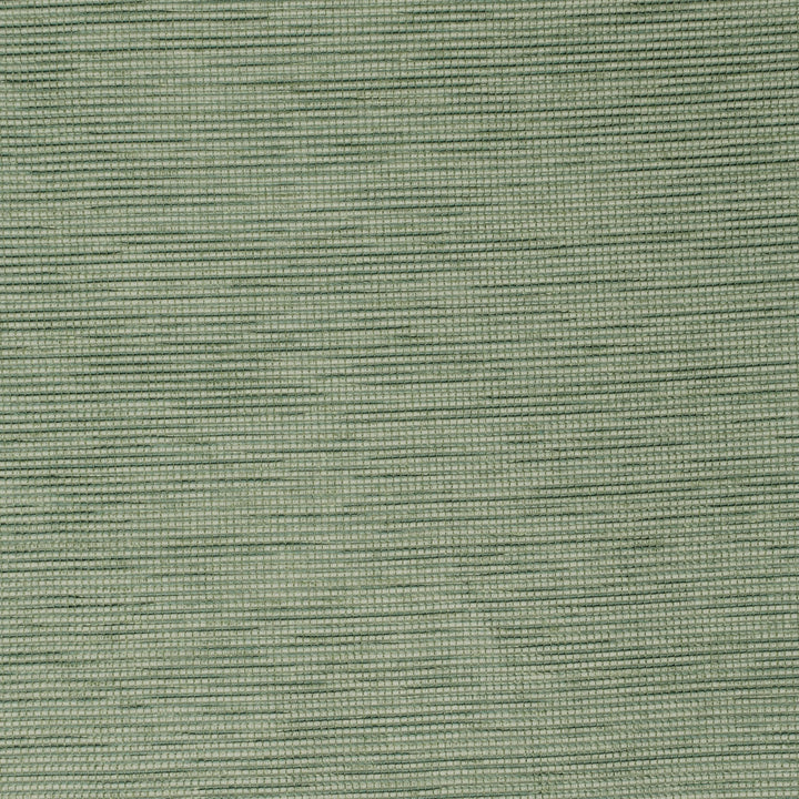 S3940 Juniper by Greenhouse Designer Fabric 95% Polyester, 5% Viscose China 50,000 double rubs </p><p>Repeat: None 55" - Swanky Fabrics -