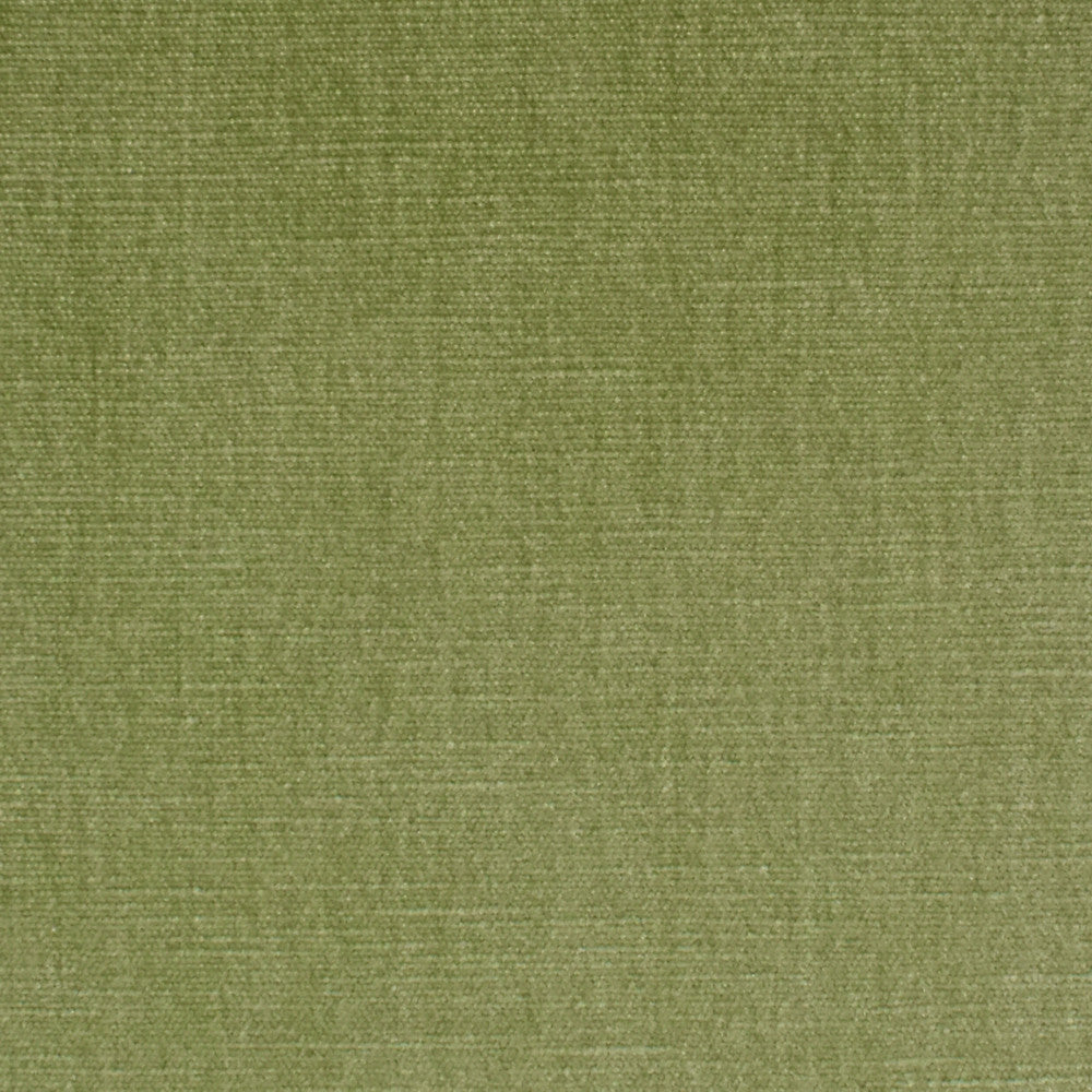 S3952 Aloe by Greenhouse Designer Fabric S68: Performance Chenille 62% Polyester, 38% Cotton India 51,000 double rubs Water & Soil Repellent </p><p>Repeat: None 54" - Swanky Fabrics -