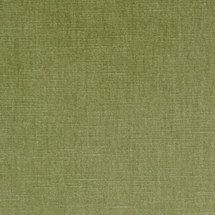 S3952 Aloe by Greenhouse Designer Fabric S68: Performance Chenille 62% Polyester, 38% Cotton India 51,000 double rubs Water & Soil Repellent </p><p>Repeat: None 54" - Swanky Fabrics -