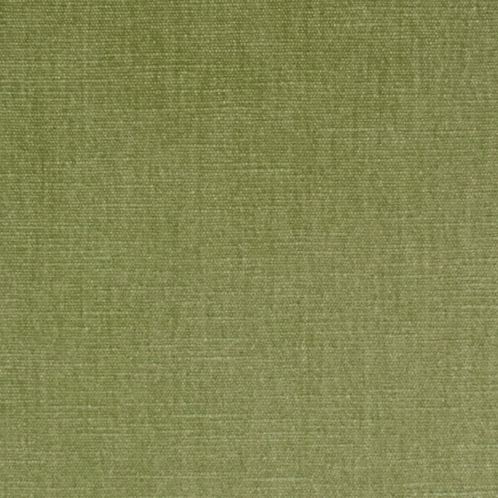 S3952 Aloe by Greenhouse Designer Fabric 62% Polyester, 38% Cotton India 51,000 </p><p>Repeat: None 54" - Swanky Fabrics -