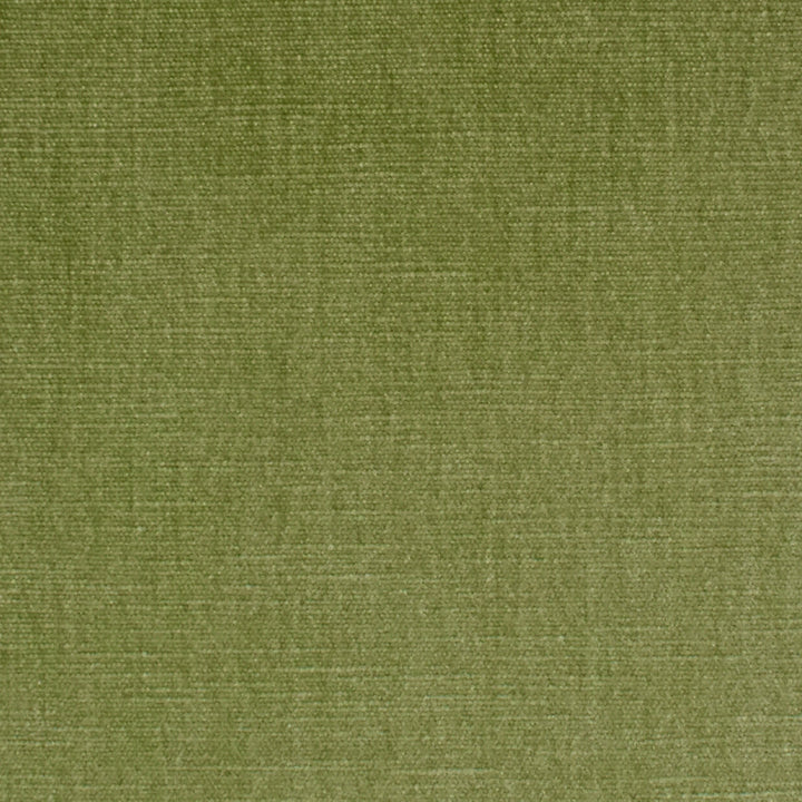 S3952 Aloe by Greenhouse Designer Fabric 62% Polyester, 38% Cotton India 51,000 double rubs </p><p>Repeat: None 54" - Swanky Fabrics -
