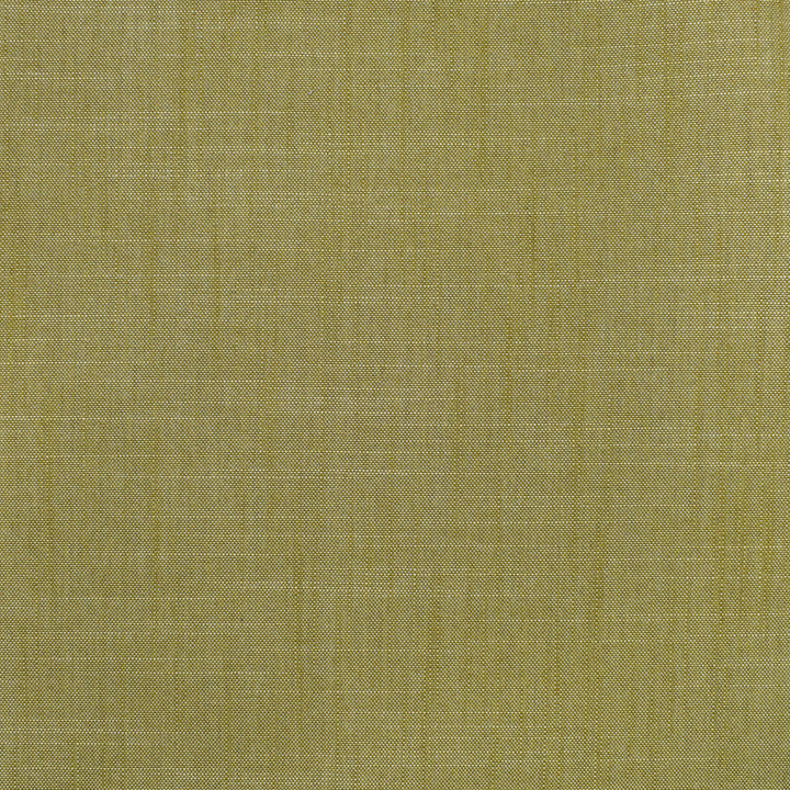 S3954 Fern by Greenhouse Designer Fabric S53: Meadow 100% Polyester India 30,000 double rubs </p><p>Repeat: None 54" - Swanky Fabrics -