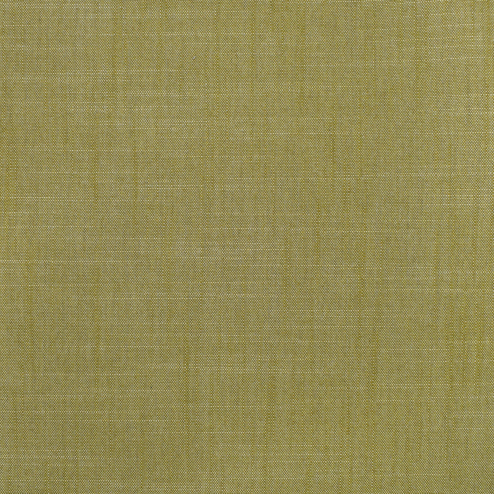 S3954 Fern by Greenhouse Designer Fabric 100% Polyester India 30,000 double rubs </p><p>Repeat: None 54" - Swanky Fabrics -