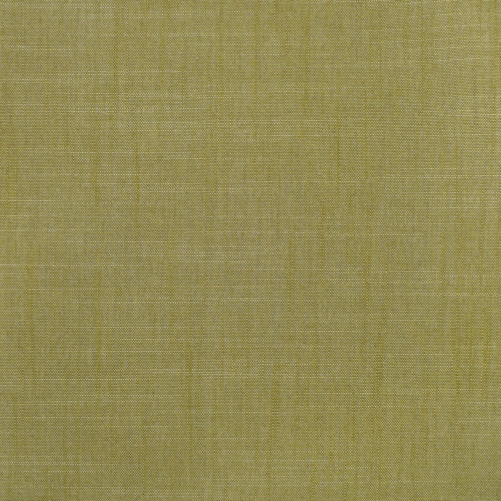 S3954 Fern by Greenhouse Designer Fabric 100% Polyester India 30,000 </p><p>Repeat: None 54" - Swanky Fabrics -