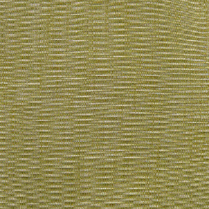 S3954 Fern by Greenhouse Designer Fabric 100% Polyester India 30,000 </p><p>Repeat: None 54" - Swanky Fabrics -