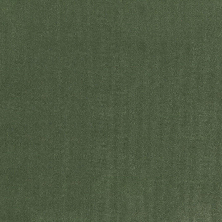 S4155 Fern by Greenhouse Designer Fabric 100% Polyester Indonesia 120,000 </p><p>Repeat: None 56" - Swanky Fabrics -