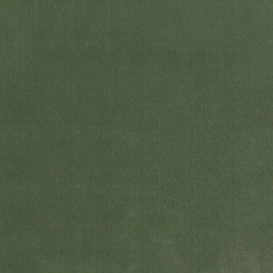 S4155 Fern by Greenhouse Designer Fabric
