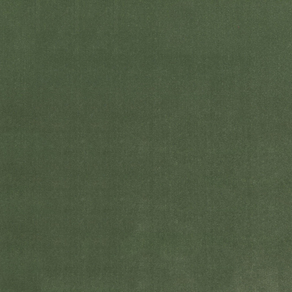 S4155 Fern by Greenhouse Designer Fabric M13: Memos by Color 100% Polyester Indonesia 120,000 double rubs </p><p>Repeat: None 56" - Swanky Fabrics -