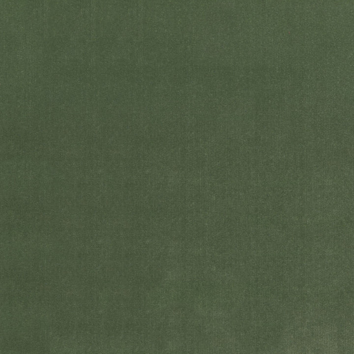 S4155 Fern by Greenhouse Designer Fabric M13: Memos by Color 100% Polyester Indonesia 120,000 double rubs </p><p>Repeat: None 56" - Swanky Fabrics -