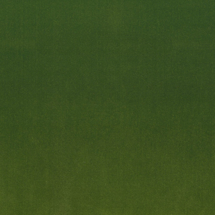 S4160 Lime by Greenhouse Designer Fabric 100% Polyester Indonesia 120,000 </p><p>Repeat: None 56" - Swanky Fabrics -