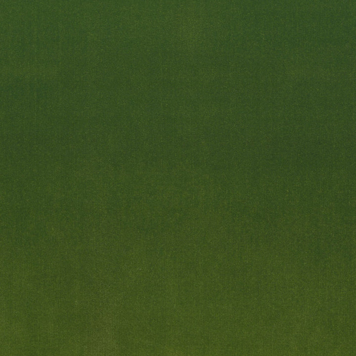 S4160 Lime by Greenhouse Designer Fabric 100% Polyester Indonesia 120,000 double rubs </p><p>Repeat: None 56" - Swanky Fabrics -
