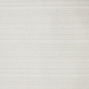 S4191 Salt by Greenhouse Designer Fabric