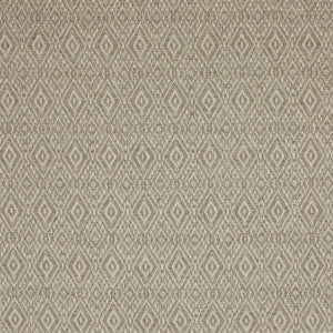 S4196 Desert by Greenhouse Designer Fabric