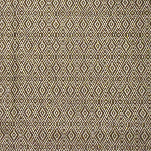 S4217 Earth by Greenhouse Designer Fabric