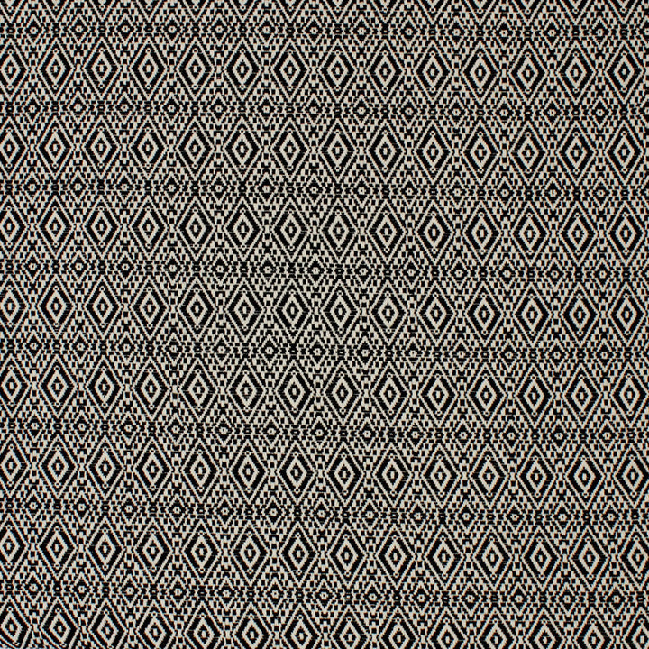 S4244 Noir by Greenhouse Designer Fabric 70% Cotton, 30% Polyester USA 40,000 </p><p>Repeat: 1.462" H, .0875" V 54" - Swanky Fabrics -