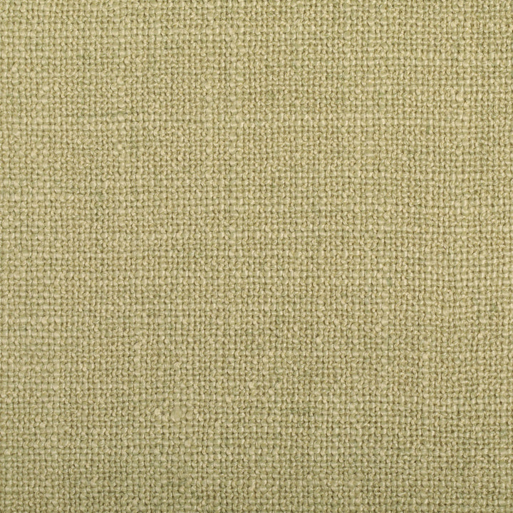 S4264 Sprig by Greenhouse Designer Fabric 88% Polyester, 12% Linen China 50,000 </p><p>Repeat: None 54" - Swanky Fabrics -