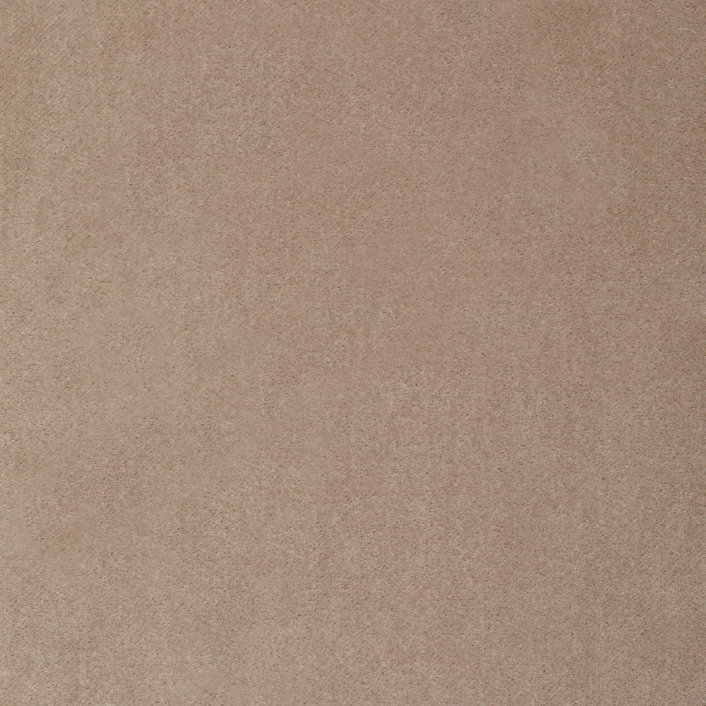 S4350 Linen by Greenhouse Designer Fabric S61: Crypton Velvet 100% Polyester India 50,000 double rubs Soil Resistant </p><p>Repeat: None 54" - Swanky Fabrics -