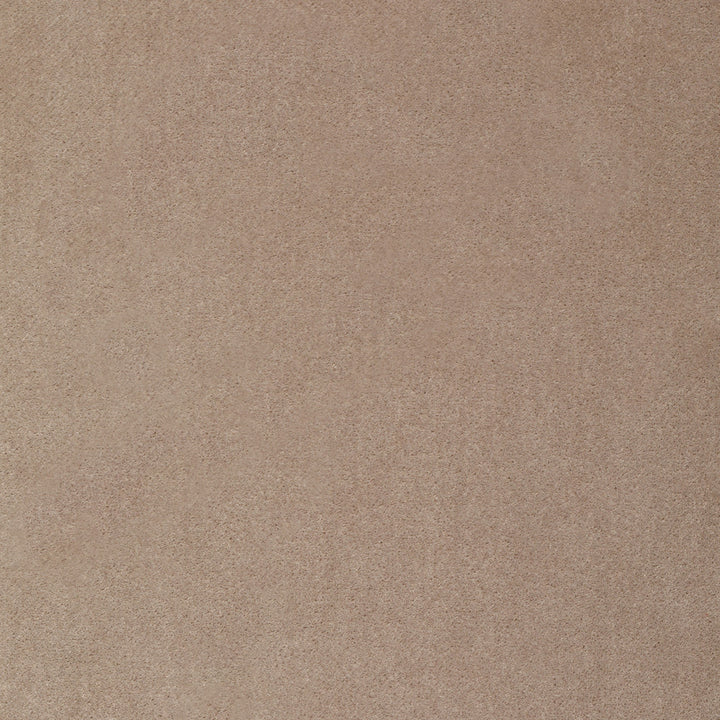 S4350 Linen by Greenhouse Designer Fabric S61: Crypton Velvet 100% Polyester India 50,000 double rubs Soil Resistant </p><p>Repeat: None 54" - Swanky Fabrics -