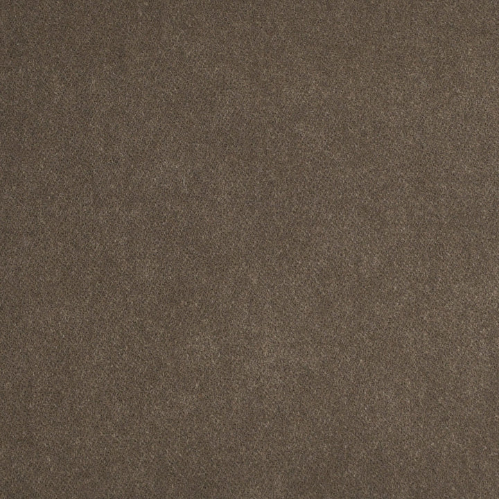 S4351 Taupe by Greenhouse Designer Fabric 100% Polyester India 50,000 </p><p>Repeat: None 54" - Swanky Fabrics -