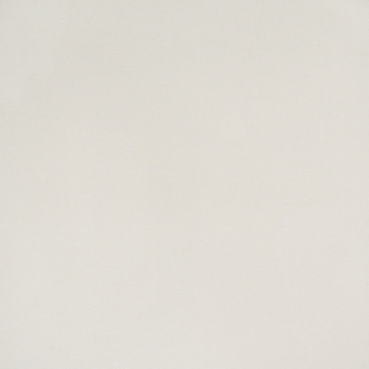 S4408 Ivory by Greenhouse Designer Fabric 100% Polyester China 63,000 </p><p>Repeat: None 56" - Swanky Fabrics -