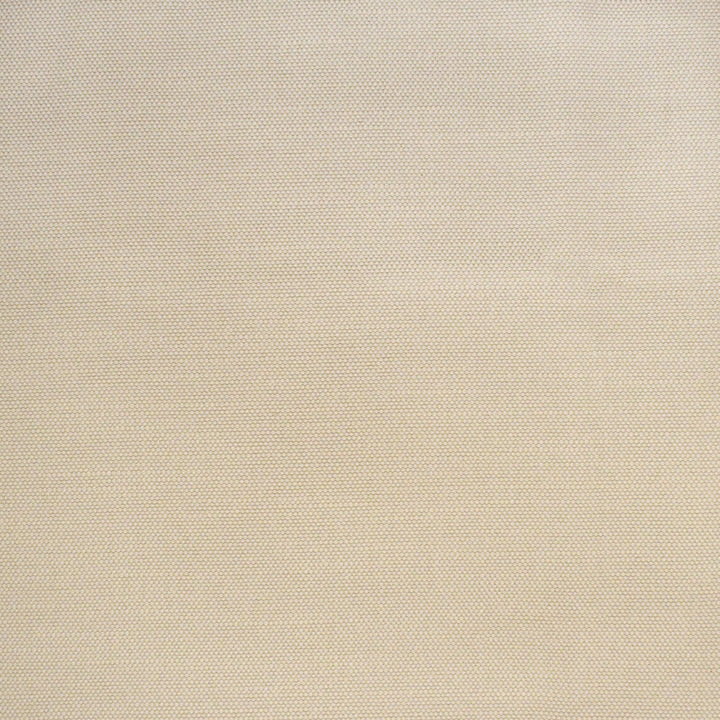 S4424 Pearl by Greenhouse Designer Fabric S62: Outdoor Performance 100% Polyester (Uv) USA 63,000 double rubs </p><p>Repeat: .063" H, .063" V 56" - Swanky Fabrics -