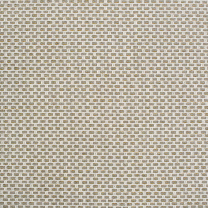 S4439 Birch by Greenhouse Designer Fabric S62: Outdoor Performance 98.28% Polyester (Uv), 1.72% Pcr Polyester (Uv) USA 63,000 double rubs </p><p>Repeat: .5" H, .5" V 58" - Swanky Fabrics -