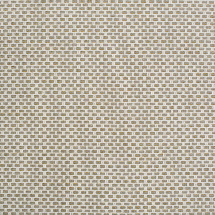 S4439 Birch by Greenhouse Designer Fabric 98.28% Polyester (Uv), 1.72% Pcr Polyester (Uv) USA 63,000 </p><p>Repeat: .5" H, .5" V 58" - Swanky Fabrics -