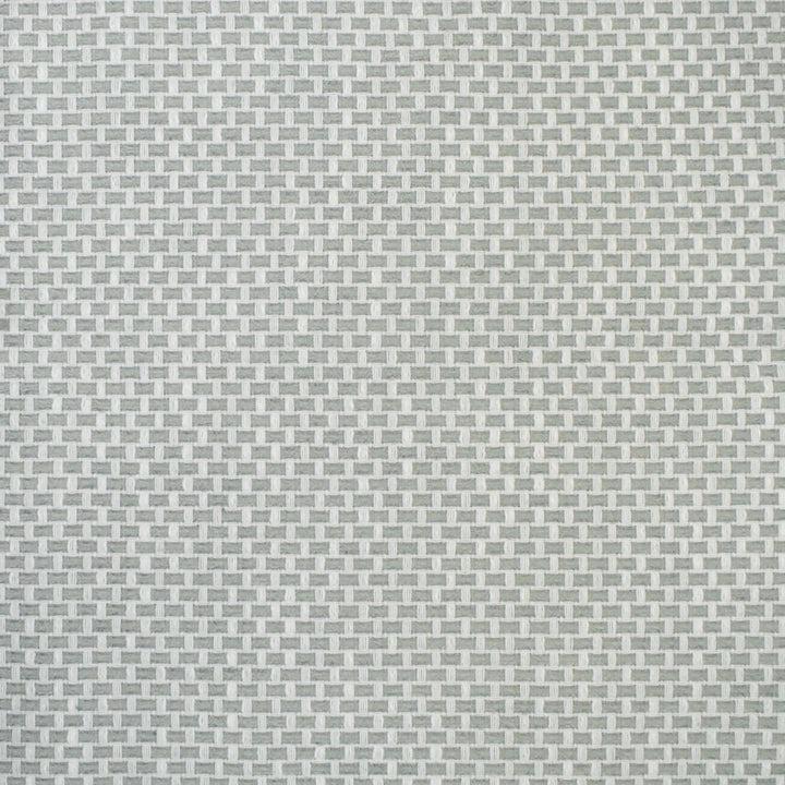 S4464 Celadon by Greenhouse Designer Fabric S63: Outdoor Performance 98.28% Polyester (Uv), 1.72% Pcr Polyester (Uv) USA 63,000 double rubs </p><p>Repeat: .5" H, .5" V 58" - Swanky Fabrics -