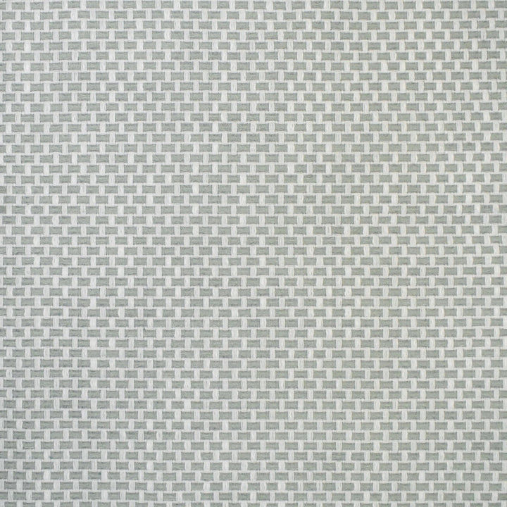 S4464 Celadon by Greenhouse Designer Fabric 98.28% Polyester (Uv), 1.72% Pcr Polyester (Uv) USA 63,000 </p><p>Repeat: .5" H, .5" V 58" - Swanky Fabrics -