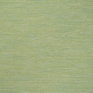 S4546 Capri by Greenhouse Designer Fabric
