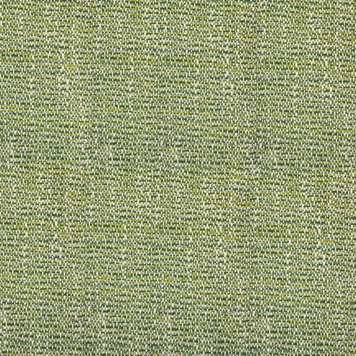 S4557 Endive by Greenhouse Designer Fabric S64: Outdoor Performance 95.54% Polyester (Uv), 4.46% Olefin (Uv) USA 63,000 double rubs </p><p>Repeat: .063" H, .688" V 55" - Swanky Fabrics -