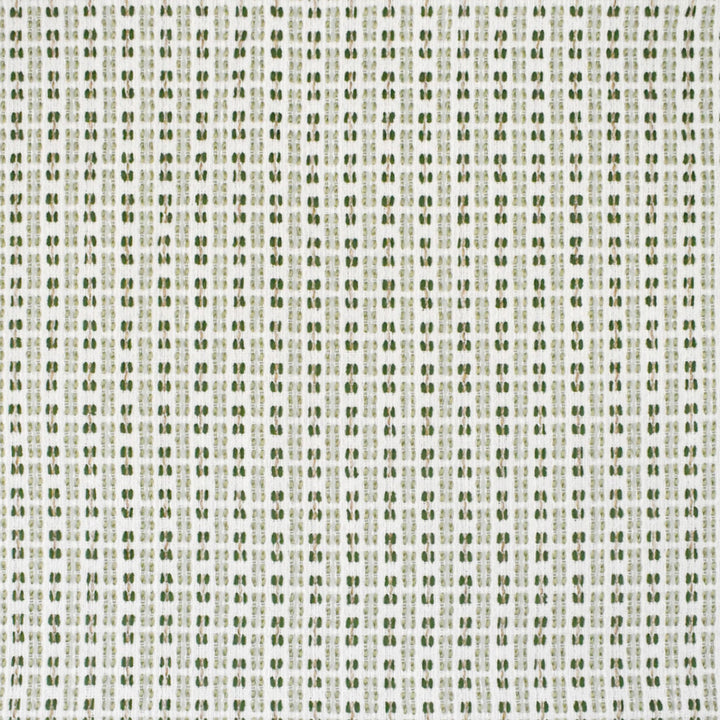 S4560 Celadon by Greenhouse Designer Fabric 80.02% Polyester (Uv), 19.98% Olefin USA 63,000 </p><p>Repeat: .75" H, .625" V 56" - Swanky Fabrics -