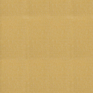 S4587 Amber by Greenhouse Designer Fabric