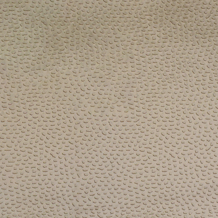 S4636 Foam by Greenhouse Designer Fabric 59% Polyester, 40% Cotton, 1% Lycra India 51,000 </p><p>Repeat: 9.33" H, 13.33" V 55" - Swanky Fabrics -