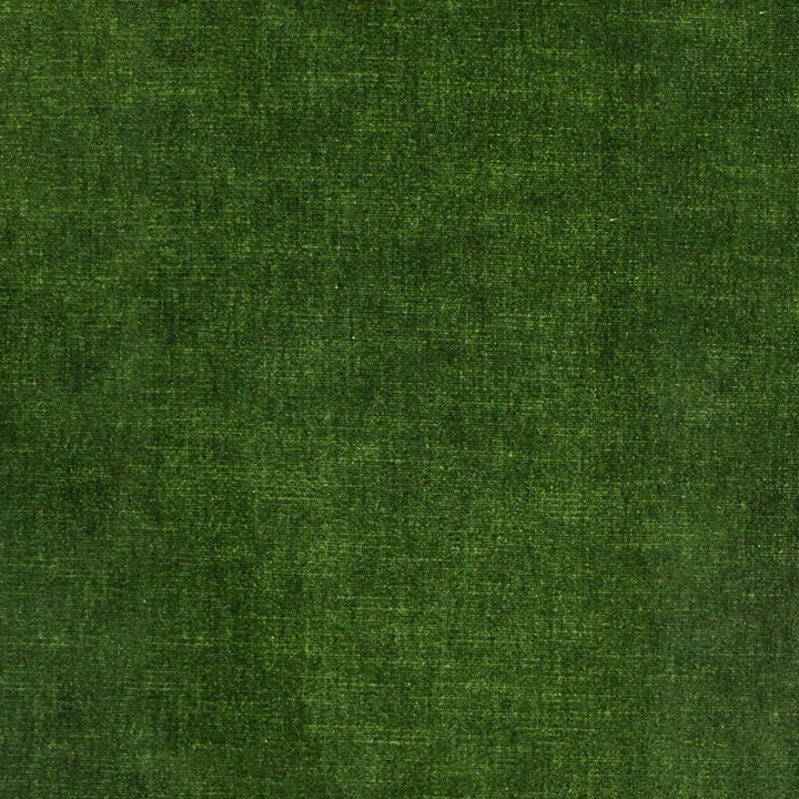S4782 Basil by Greenhouse Designer Fabric S68: Performance Chenille 62% Polyester, 38% Cotton India 51,000 double rubs Water & Soil Repellent </p><p>Repeat: None 54" - Swanky Fabrics -
