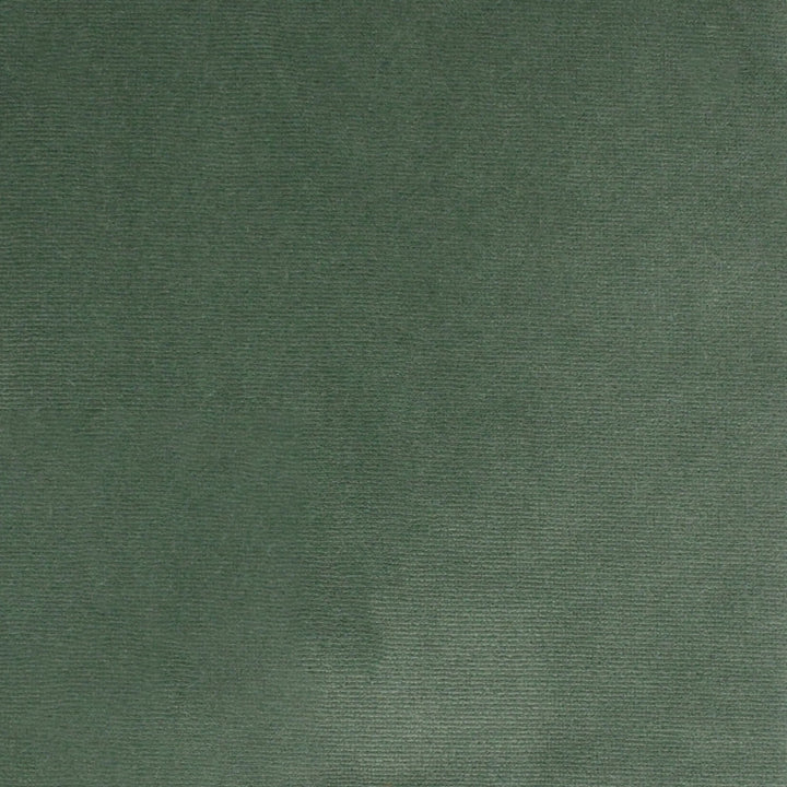 S4862 Aloe by Greenhouse Designer Fabric S70: Moss 100% Polyester Turkey 51,000 double rubs Water & Soil Repellent </p><p>Repeat: None 55" - Swanky Fabrics -