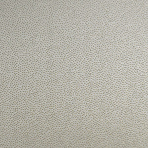 S4960 Ecru by Greenhouse Designer Fabric