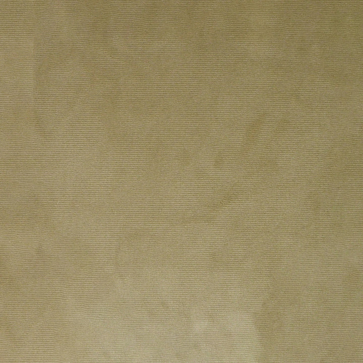 S4983 Champagne by Greenhouse Designer Fabric S72: Fawn 100% Polyester Turkey 51,000 double rubs Water & Soil Repellent </p><p>Repeat: None 55" - Swanky Fabrics -