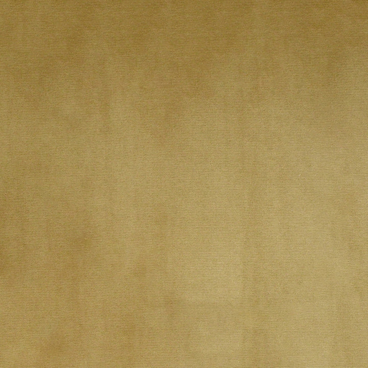 S4995 Stoneware by Greenhouse Designer Fabric S72: Fawn 100% Polyester Turkey 51,000 double rubs Water & Soil Repellent </p><p>Repeat: None 55" - Swanky Fabrics -