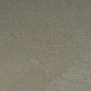 S5014 Vapor by Greenhouse Designer Fabric