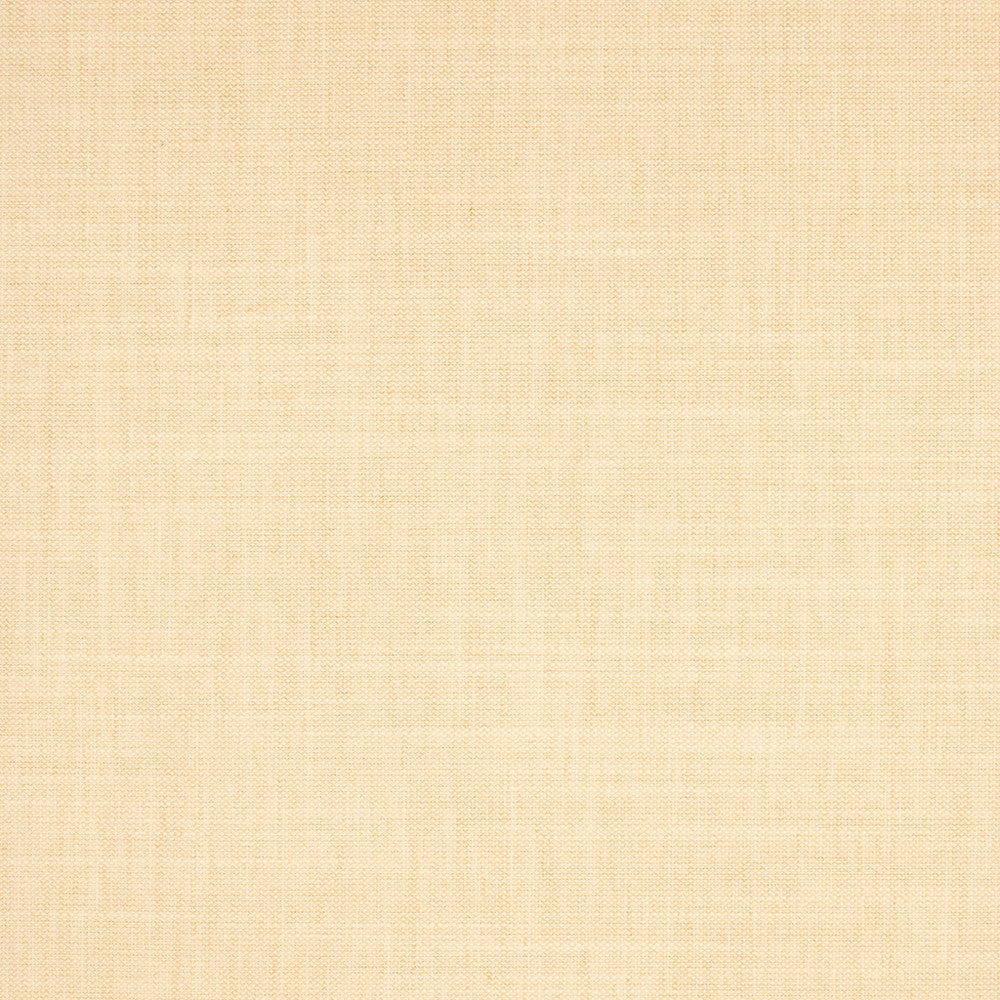 S5132 Shell by Greenhouse Designer Fabric 100% Polyester India 50,000 </p><p>Repeat: None 54" - Swanky Fabrics -
