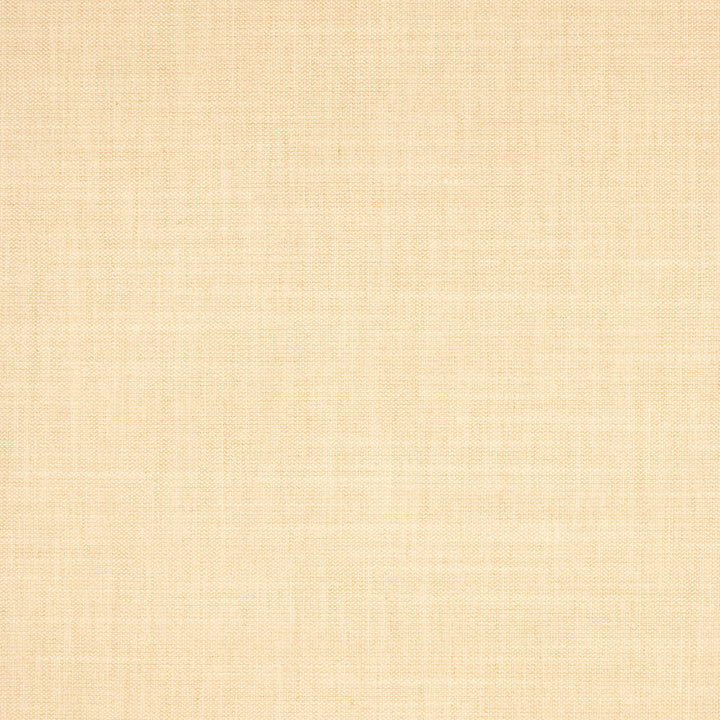 S5132 Shell by Greenhouse Designer Fabric 100% Polyester India 50,000 </p><p>Repeat: None 54" - Swanky Fabrics -