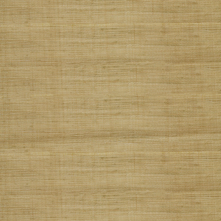 S5135 Honey Beige by Greenhouse Designer Fabric M11: Memos by Color 100% Polyester India DRAPERY double rubs </p><p>Repeat: None 57" - Swanky Fabrics -