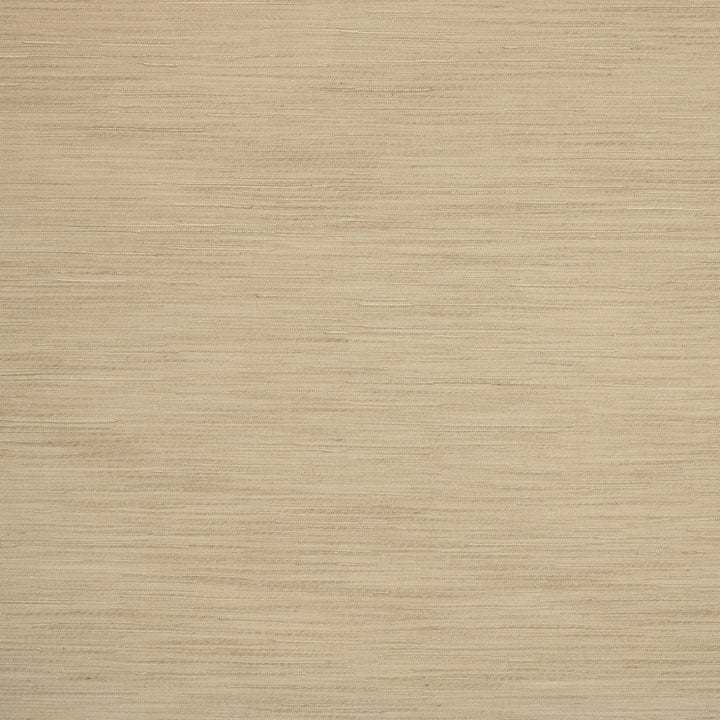 S5159 Raffia by Greenhouse Designer Fabric 95% Polyester, 5% Cotton India DRAPERY </p><p>Repeat: 6.93" H, 23.23" V 55" - Swanky Fabrics -