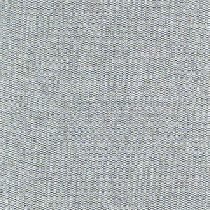 S5331 Sea by Greenhouse Designer Fabric 100% Polyester China 18,000 </p><p>Repeat: None 56" - Swanky Fabrics -