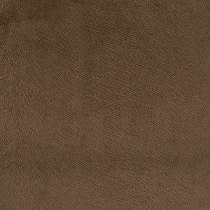 S5410 Cocoa by Greenhouse Designer Fabric