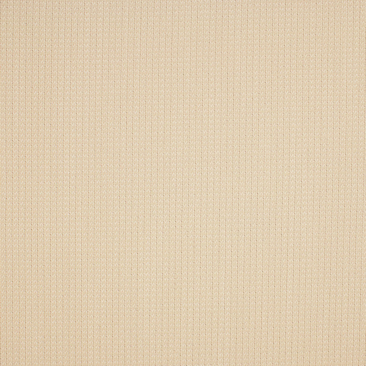 S5538 Pearl by Greenhouse Designer Fabric 100% Polyester USA 33,000 </p><p>Repeat: .188" H, .188" V 55" - Swanky Fabrics -